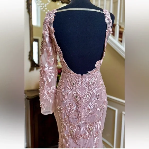 Portia and Scarlett Blush Long Sleeve Feather Fringed Embroidered Gown Size 6 - Picture 10 of 16